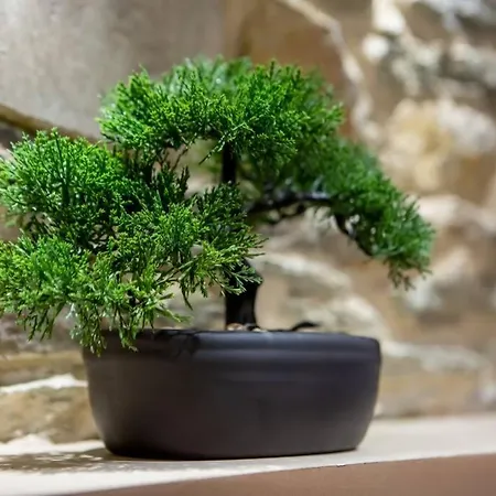 Nouveau - L'instant Passion - * Cherbourg-en-Cotentin