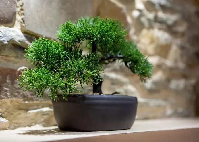 Nouveau - L'instant Passion - * Cherbourg-en-Cotentin